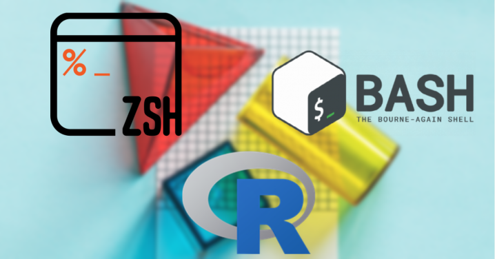 Shell vs R Fundamentals – From Syntax to Control Structures with Zsh & BASH